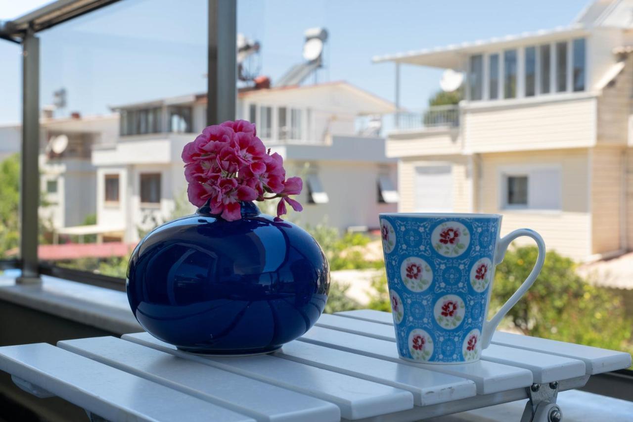 Ev Apartments بيليك المظهر الخارجي الصورة